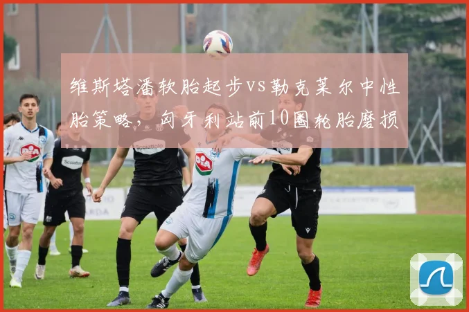 维斯塔潘软胎起步vs勒克莱尔中性胎策略，匈牙利站前10圈轮胎磨损率对比